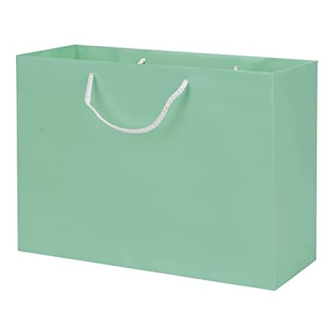 10 x Paper Carrier Bags Large Kraft Gift Bags Party Bags with Handle Reusable Bag Present Treat Bags Tote Bag for Birthday, Wedding, Christmas Party, Shopping, Baby Shower, Bridal Shower Cover