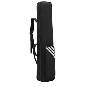 Amazon.co.jp: バイオリンケース - 弦楽器ケース・バッグ: 楽器