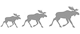 Samunshi