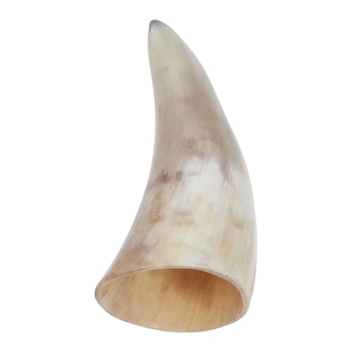 STAHAD VRpt Subg e 葕z[Jbv oCLOX p C r[Ή 蕨 `H|i yʃR