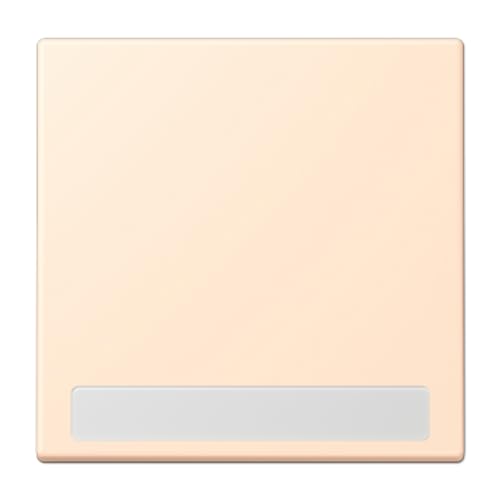Jung Touche Simple avec Inscription LC32123 interrupteur de commande
