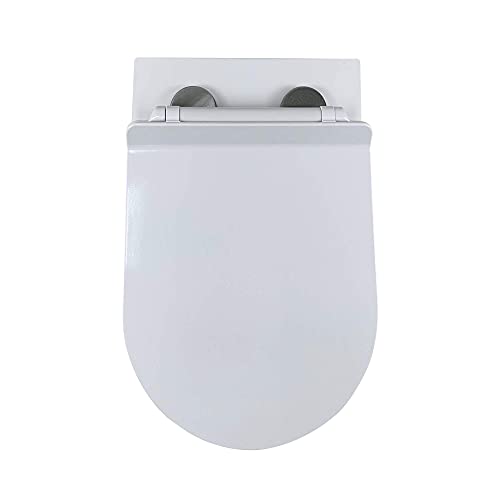 Fine Fixtures Dakota Wall Hung Toilet With Rimless Flush - White #TOP3