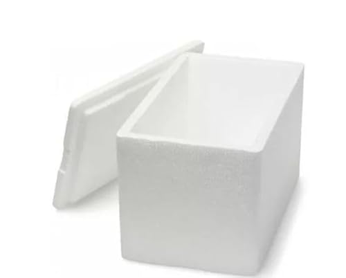 Caixa De Isopor 2 Kg Medicamento/Sorvete/Insulina 2l- 1 unidade