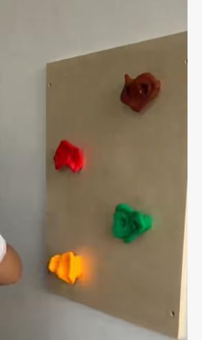 BlueWood Indoor Climbing Play Gym for Baby