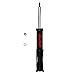 FCS 331820 Suspension Strut