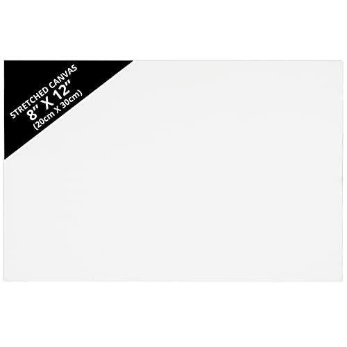 Belle Vous Confezione 14 Tela per Dipingere - 20 x...