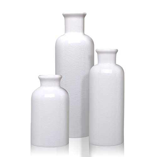 Gioyonil Keramik Vasen Weiß,3 Stück Kleine Vasen Vintage Set für Pampasgras Frische Blumen Trockenblumen, Moderne Heim Bauernhaus Wohnzimmer Dekor, Boho Vase für Bücherregal Mittelstücke Tisch Deko Cover