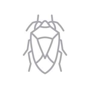 Miniatura 5 de BUGGSLAYER BEBMALB insecticida 16oz número de pieza del fabricante 40001