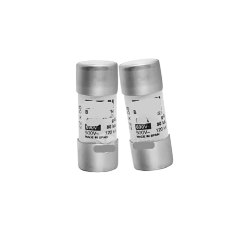 Fusible C22G 40A résout les surcharges, tube céramique rapide 22x58mm