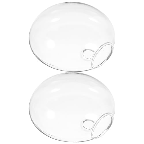 OATIPHO Jarrones de Pared Colgantes de Vidrio Transparente para Plantas Hidropónicas, 2 Unidades, Jarrones de Cristal Pequeños y Altos para Decoración de Hogar y Muro