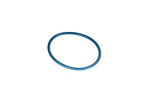 N222366070 Fuel Tank Rollover Valve Dislodged - 2022 Cadillac XT5, XT6, & GMC Acadia 11 GM Genuine Parts G48 (15776433) Fuel Tank Sending Unit O-Ring