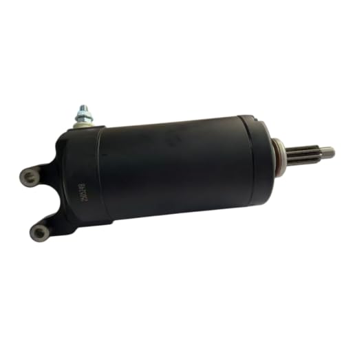 Starter Motor Assembly F02J10000001 para Segway Fugleman miniatura 6