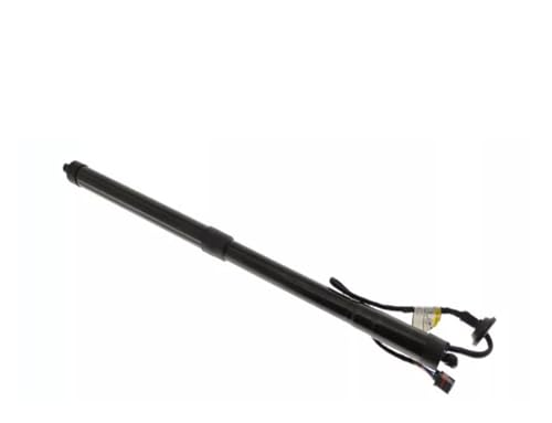 _p[ ɓK{{p V60p 2019 2020 2021 2022 2023 dp[tgQ[gT|[g e[Q[gXgbg(1 piece)