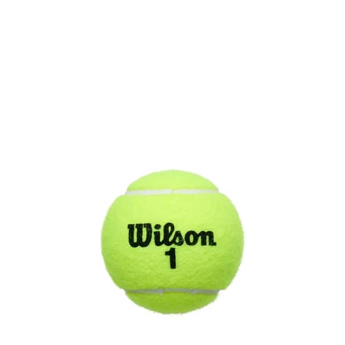 Image of WILSON Championship Tennis Balls