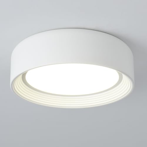 Badiegh Dimmable Flush Mount Ceiling Light White,24W LED Ceiling Light Fixture,3000K-6500K 5CCT Round 11.81 in Modern Lighting Fixtures for Laundry Room Hallway Kitchen