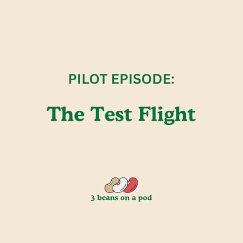 The Test Flight