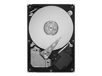 Seagate SV35.5 Serie ST3500410SV Interne Festplatte 500GB (8,9 cm (3,5 Zoll), 7200 rpm, SATA, 16MB Cache) bulk