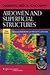Abdomen and Superficial Structures (Diagnostic Medical Sonography)