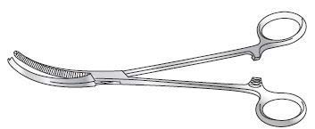 Forgesy Berkeley Hysterectomy Clamp 8" Curved On Flat (Pack Of 1)