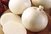 Onion White Sweet Spanish Great Heirloom Vegetable 200 Seeds