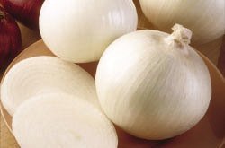 Onion White Sweet Spanish Great Heirloom Vegetable by Seed Kingdom Bulk 1 Lb Seeds
