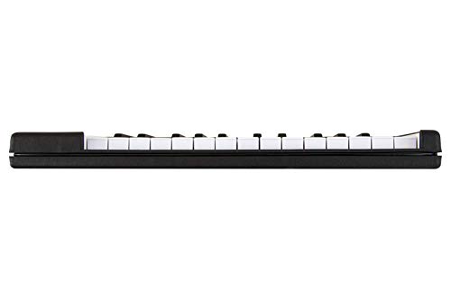 Arturia Microlab 25 Key Usb Midi Keyboard Controller #TOP1