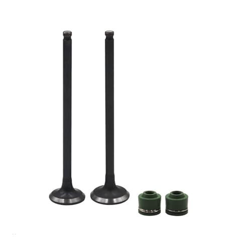 Joints d'huile pour tige moteur FZR250 anti-fuite haute température 1 paire