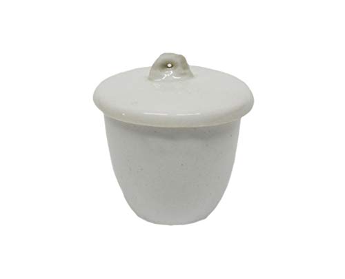 Otoolworld Porcelain Crucible with Lid Cover Lab Crucible