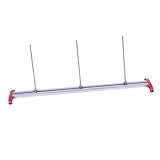 【Pratique】Ce calibreur est détachable, facile à utiliser et facile à transporter. Une fois mis de côté, vous pouvez le mettre dans le tube de papier inclus sans prendre beaucoup de place.