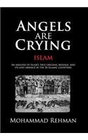 Angels Are Crying: Islam: An Analysis of Islam's True Original Message, and It's Lost Absence in the 50 Islamic Countries 0990928403 Book Cover