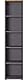 Aktenregal Arlington, ideal für Home Office, in Graphit/Grandson-Eiche-Nachbildung, fünf Fächer in Ordnerhöhe, 45 x 197 x 40 cm (BxHxT)