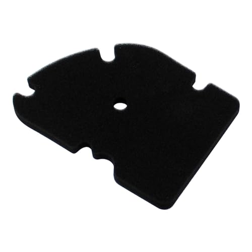 Flow Air Filter Intake Cleaner Fit For Primavera & Sprint Models - Enhanced Performance & Efficiency