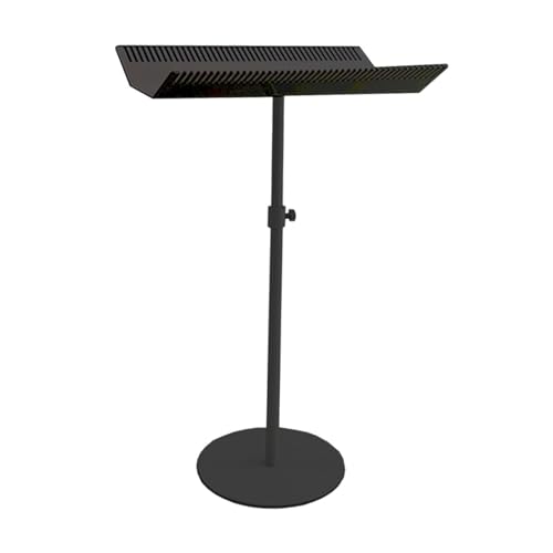 Support de cheveux acrylique noir stable pour organiser le coiffage à la maison