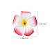SHERCHPRY 12pcs Plumeria Hair Clips, Plumeria Hair Barrettes Clips, Hawaiian Plumeria Clip, Plumeria Accessories for Bridal Wedding Summer Beach Party