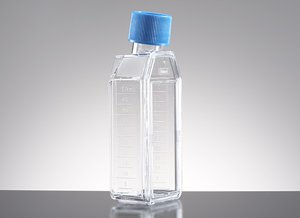 CORNING - Primaria 25cm² Rectangular Canted Neck Cell Cult Flask w/ Vented Cap, CS100