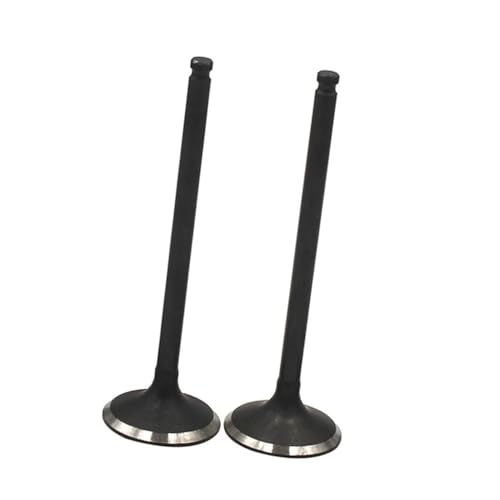 2 pcs Échappement Moto pour YMH YZ250F WR250F 2001-2013
