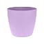 New Violet