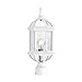 Nuvo Lighting 60/4974 Traditional One Light Post Mount from Boxwood collection in White finish