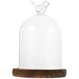 Kichvoe Cloche Glass Dome Clear Display Bell Jar with Bird Top Handle and Wood Base 3.5*5.5inch Micro Landscape and Eternal Life Flowers Storage Jars Diy Snow Globes Cake Dessert Stand for Party Favor