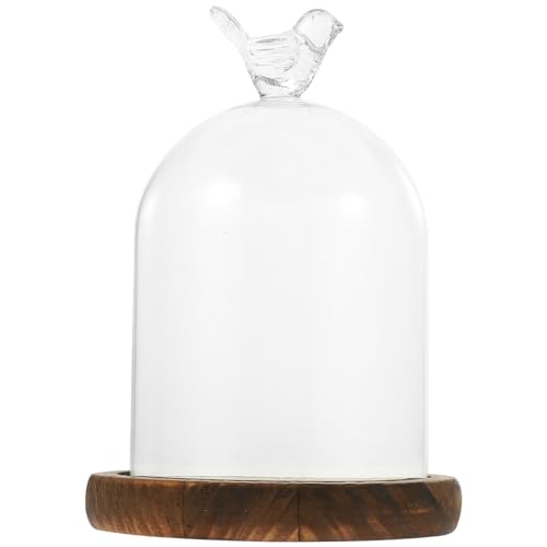 Kichvoe Cloche Glass Dome Clear Display Bell Jar with Bird Top Handle and Wood Base 3.5*5.5inch Micro Landscape and Eternal Life Flowers Storage Jars Diy Snow Globes Cake Dessert Stand for Party Favor