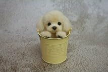 Amazon.co.jp: NE-NE 羊毛フェルト 犬 トイプードル クリーム
