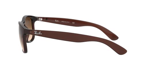 Ray-Ban RB4202 Andy Sunglasses Matte Brown/Brown Gradient 55mm2