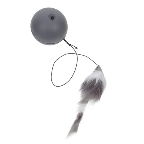 Parliky  vɗD C^ eBu p [ ] LeB  gp