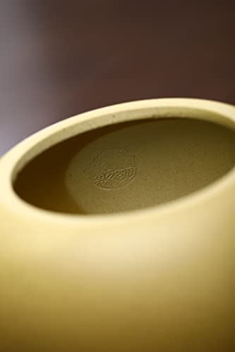 Image of Xishi Teapot 15oz Chinese Zisha Clay Pot Ceramics Purple Sand Mud Kungfu Tea Set Kettle 9 Hole Filter (Yellow 450ml)