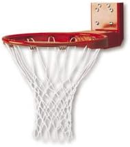 Scholastic Rear Mount Breakaway Goal w Nylon Net