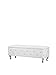 Baxton Studio Seine Contemporary Storage Ottoman, White