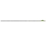 Gold Tip XT Hunter 300 Carbon Arrows with 2-Inch HP Vanes (Pack of 6), Realtree Xtra Camo