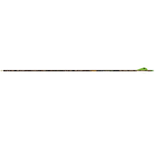 Gold Tip XT Hunter 300 Carbon Arrows with 2-Inch HP Vanes (Pack of 6), Realtree Xtra Camo