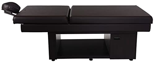 Skinact Brown Murade Massage Table, Facial Bed With Reclinable Backrest #TOP2