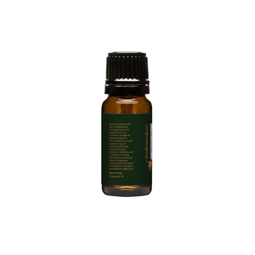 Image of Eternal Essence Oils Expedition 10ml Fragrance Oil - Pine Needles, Bergamot Mist, Vetiver & Cedarwood - Earthy Green Blend Inspired by Forest Trails & Herbs